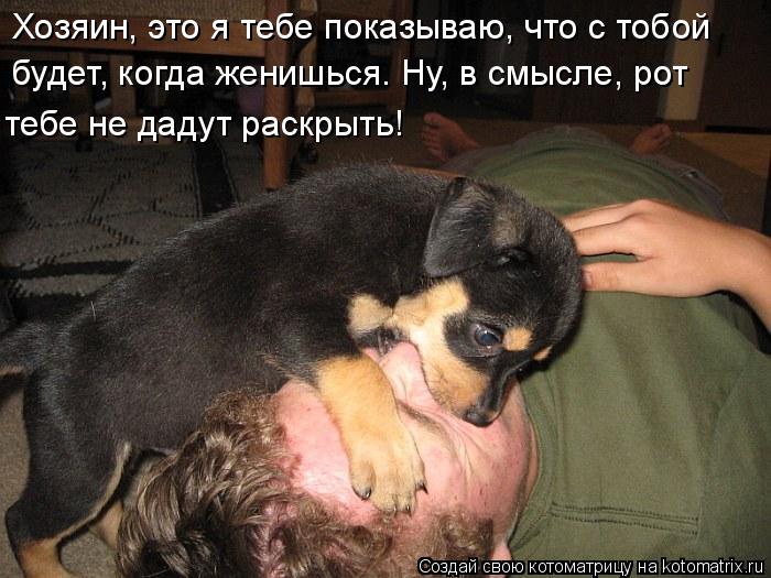 Хозяин, это я тебе показываю, что с тобой будет, когда женишься. Ну, в смысле, рот тебе не дадут раск... Котоматрица: Хозяин, это я тебе показываю, что с тобой будет, когда женишься. Ну, в смысле, рот тебе не дадут раскрыть!