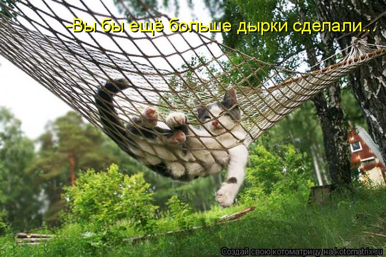 -Вы бы ещё больше дырки сделали...... Котоматрица: -Вы бы ещё больше дырки сделали...