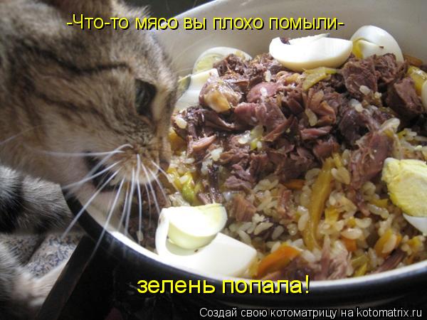 -Что-то мясо вы плохо помыли- зелень попала!... Котоматрица: -Что-то мясо вы плохо помыли- зелень попала!