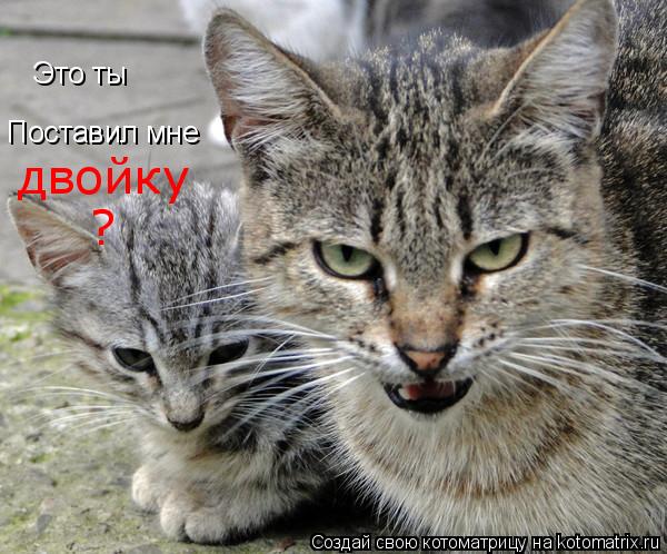 Это ты Поставил мне двойку ?... Котоматрица: Это ты Поставил мне двойку ?