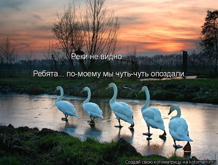 Ребята... по-моему мы чуть-чуть опоздали. Реки не видно.... Котоматрица: Ребята... по-моему мы чуть-чуть опоздали. Реки не видно.