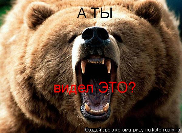 А ТЫ видел ЭТО?... Котоматрица: А ТЫ видел ЭТО?