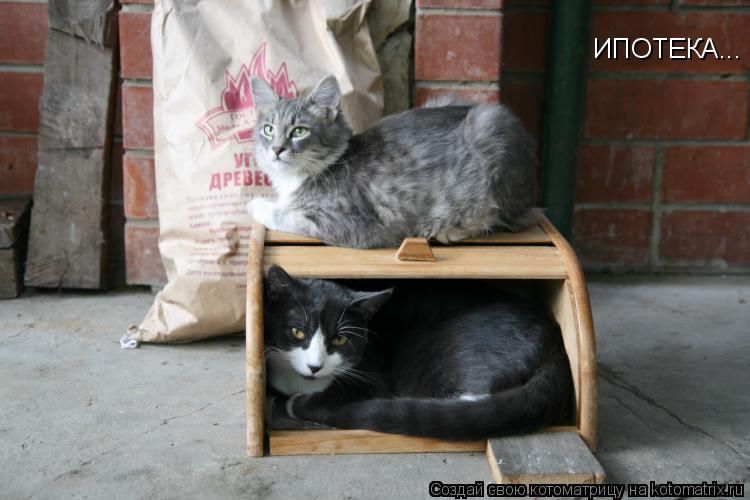 ИПОТЕКА...... Котоматрица: ИПОТЕКА...