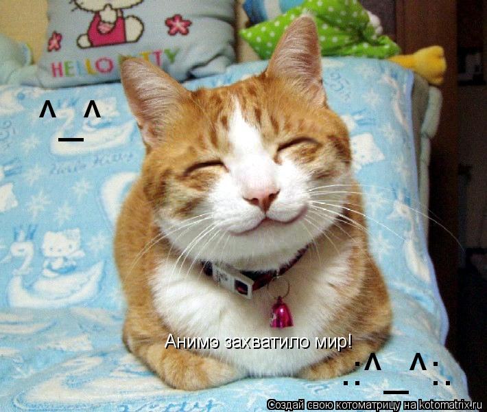Анимэ захватило мир! ^_^ .:^_^:.... Котоматрица: Анимэ захватило мир! ^_^ .:^_^:.