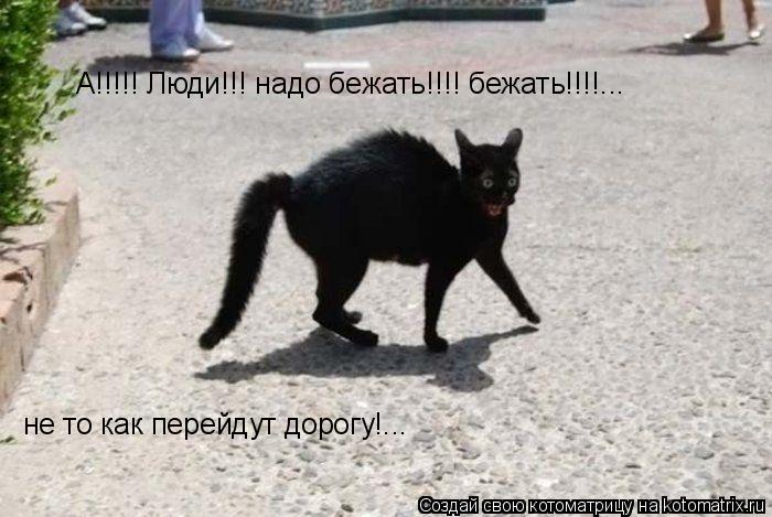 А!!!!! Люди!!! надо бежать!!!! бежать!!!!... не то как перейдут дорогу!...... Котоматрица: А!!!!! Люди!!! надо бежать!!!! бежать!!!!... не то как перейдут дорогу!...