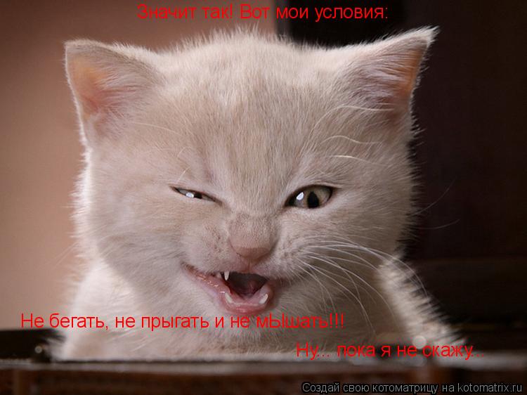 Значит так! Вот мои условия: Не бегать, не прыгать и не мЫшать!!! Ну... пока я не скажу...... Котоматрица: Значит так! Вот мои условия: Не бегать, не прыгать и не мЫшать!!! Ну... пока я не скажу...