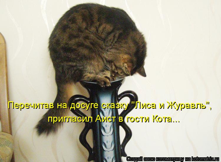 Перечитав на досуге сказку "Лиса и Журавль", пригласил Аист в гости Кота...... Котоматрица: Перечитав на досуге сказку "Лиса и Журавль", пригласил Аист в гости Кота...