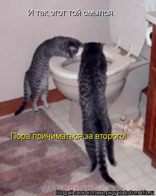И так,этот той смылся. Пора приниматься за второго!... Котоматрица: И так,этот той смылся. Пора приниматься за второго!