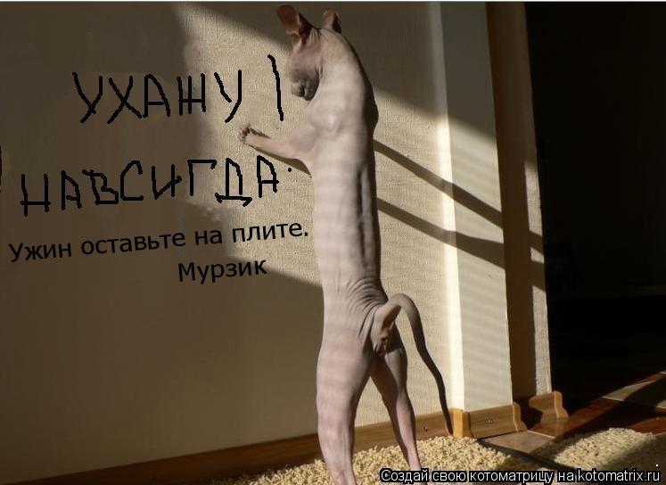 Котоматрица: Ужин оставьте на плите. Мурзик
