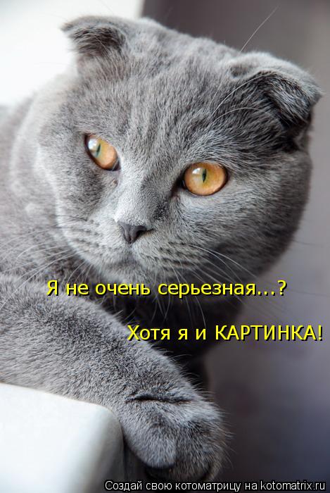 Я не очень серьезная...? Хотя я и КАРТИНКА!... Котоматрица: Я не очень серьезная...? Хотя я и КАРТИНКА!