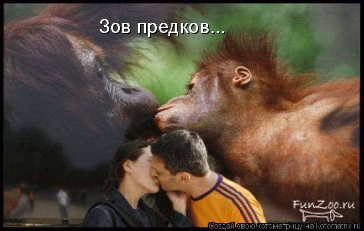 Зов предков…..... Котоматрица: Зов предков…..