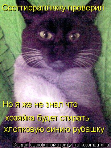 Сссттирраллккку проверил Но я же не знал что хозяйка будет стирать хлопковую синию рубашку... Котоматрица: Сссттирраллккку проверил Но я же не знал что хозяйка будет стирать хлопковую синию рубашку