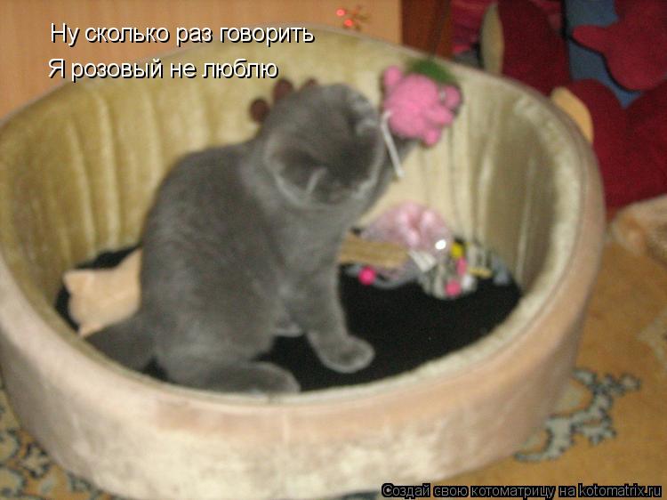 Ну сколько раз говорить Я розовый не люблю... Котоматрица: Ну сколько раз говорить Я розовый не люблю