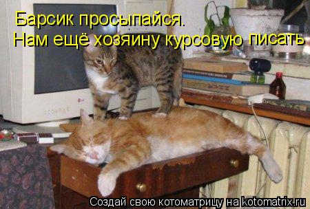Барсик просыпайся. Нам ещё хозяину курсовую писать... Котоматрица: Барсик просыпайся. Нам ещё хозяину курсовую писать