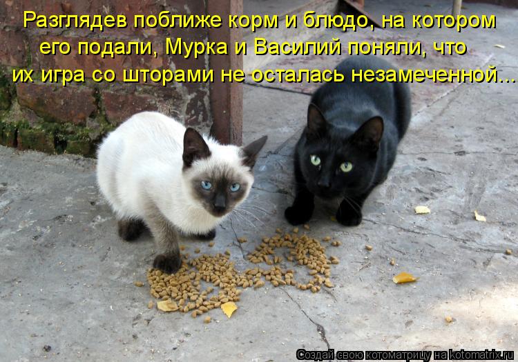 Разглядев поближе корм и блюдо, на котором его подали, Мурка и Василий поняли, что их игра со шторами... Котоматрица: Разглядев поближе корм и блюдо, на котором его подали, Мурка и Василий поняли, что их игра со шторами не осталась незамеченной...