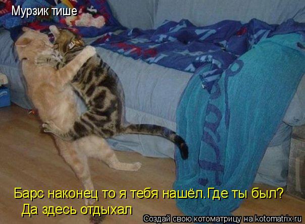 Мурзик тише Барс наконец то я тебя нашёл.Где ты был? Да здесь отдыхал... Котоматрица: Мурзик тише Барс наконец то я тебя нашёл.Где ты был? Да здесь отдыхал