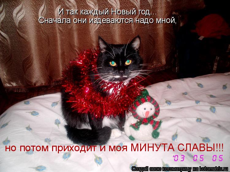 И так каждый Новый год... Сначала они издеваются надо мной, но потом приходит и моя МИНУТА СЛАВЫ!!!... Котоматрица: И так каждый Новый год... Сначала они издеваются надо мной, но потом приходит и моя МИНУТА СЛАВЫ!!!