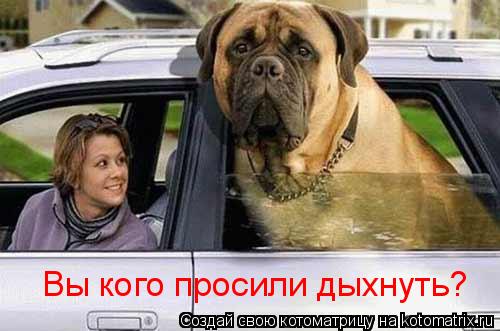 Вы кого просили дыхнуть?... Котоматрица: Вы кого просили дыхнуть?