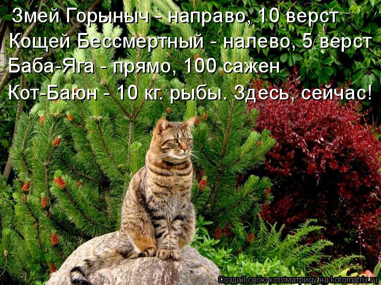 http://kotomatrix.ru/images/lolz/2010/09/24/687462.jpg