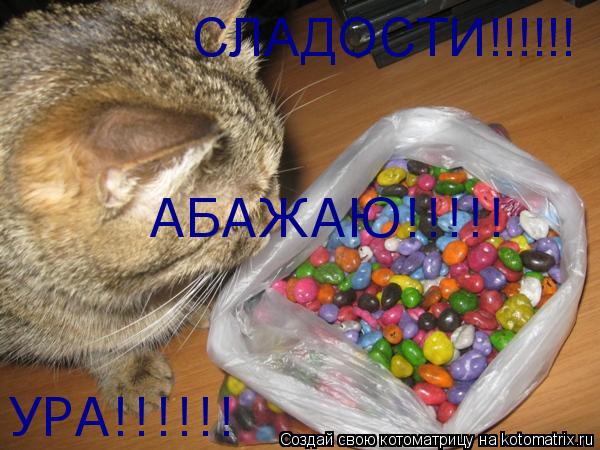СЛАДОСТИ!!!!!! УРА!!!!!! АБАЖАЮ!!!!!... Котоматрица: СЛАДОСТИ!!!!!! УРА!!!!!! АБАЖАЮ!!!!!