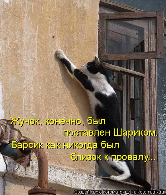 Жучок, конечно, был поставлен Шариком. Барсик как никогда был близок к провалу...... Котоматрица: Жучок, конечно, был поставлен Шариком. Барсик как никогда был близок к провалу...