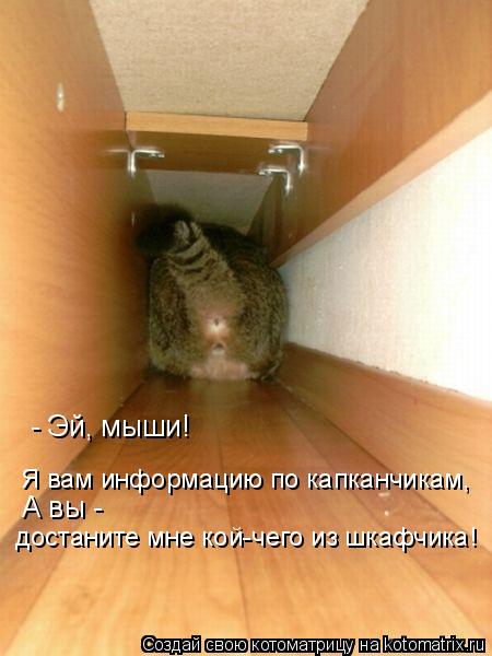 - Эй, мыши! Я вам информацию по капканчикам, А вы - достаните мне кой-чего из шкафчика!... Котоматрица: - Эй, мыши! Я вам информацию по капканчикам, А вы - достаните мне кой-чего из шкафчика!