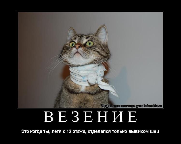 Везение Это когда ты, летя с 12 этажа, отделался только вывихом шеи... Котоматрица: Везение Это когда ты, летя с 12 этажа, отделался только вывихом шеи