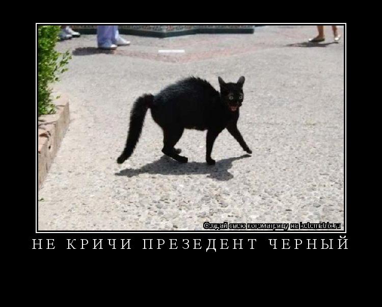 НЕ КРИЧИ ПРЕЗЕДЕНТ ЧЕРНЫЙ ... Котоматрица: НЕ КРИЧИ ПРЕЗЕДЕНТ ЧЕРНЫЙ