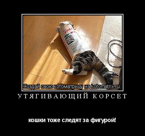 Утягивающий корсет кошки тоже следят за фигурой!... Котоматрица: Утягивающий корсет кошки тоже следят за фигурой!