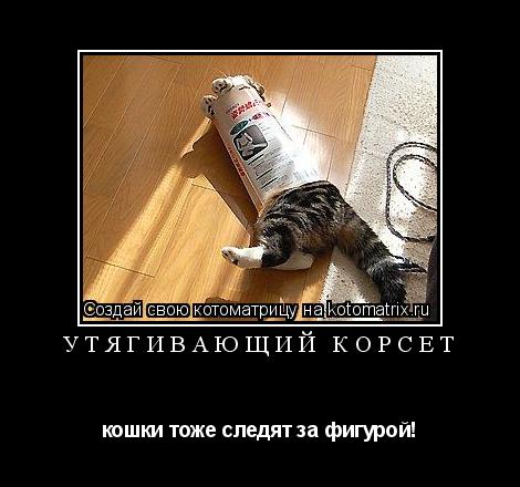 Котоматрица: Утягивающий корсет кошки тоже следят за фигурой!