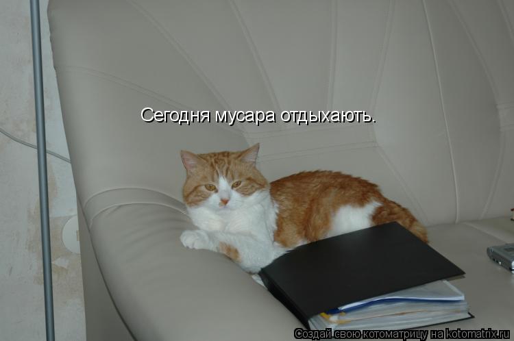 Сегодня мусара отдыхають.... Котоматрица: Сегодня мусара отдыхають.