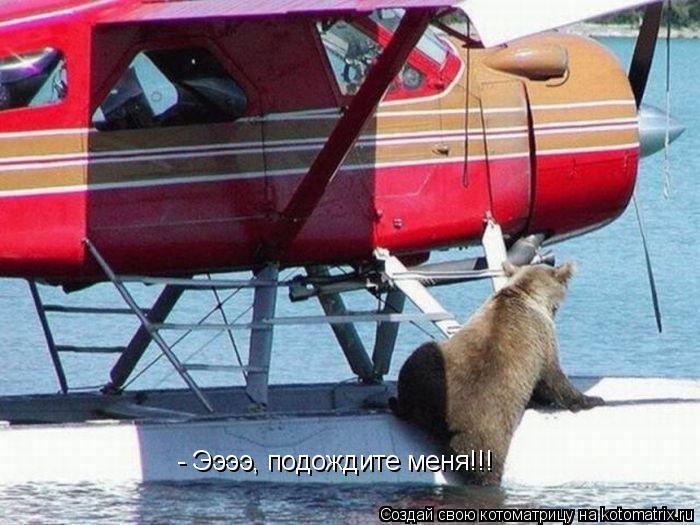 - Ээээ, подождите меня!!!... Котоматрица: - Ээээ, подождите меня!!!