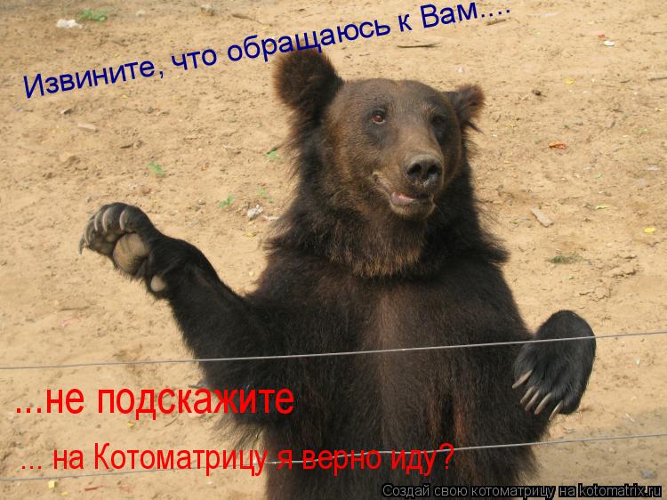 Извините, что обращаюсь к Вам.... ... на Котоматрицу я верно иду? ...не подскажите... Котоматрица: Извините, что обращаюсь к Вам.... ... на Котоматрицу я верно иду? ...не подскажите