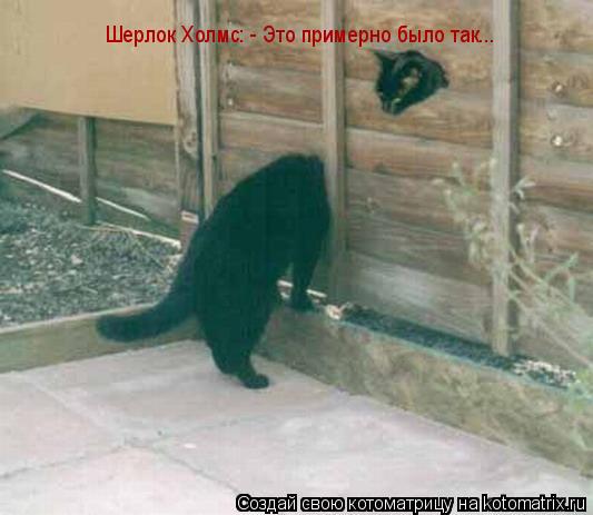 Шерлок Холмс: - Это примерно было так...... Котоматрица: Шерлок Холмс: - Это примерно было так...