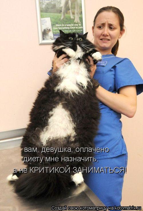вам, девушка, оплачено диету мне назначить, а не КРИТИКОЙ ЗАНИМАТЬСЯ!... Котоматрица: вам, девушка, оплачено диету мне назначить, а не КРИТИКОЙ ЗАНИМАТЬСЯ!