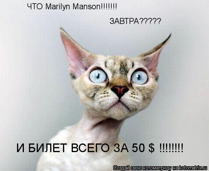 ЧТО Marilyn Manson!!!!!!! ЗАВТРА????? И БИЛЕТ ВСЕГО ЗА 50 $ !!!!!!!!... Котоматрица: ЧТО Marilyn Manson!!!!!!! ЗАВТРА????? И БИЛЕТ ВСЕГО ЗА 50 $ !!!!!!!!