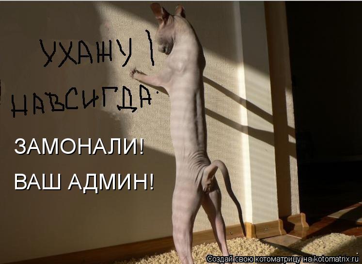 ВАШ АДМИН! ЗАМОНАЛИ!... Котоматрица: ВАШ АДМИН! ЗАМОНАЛИ!