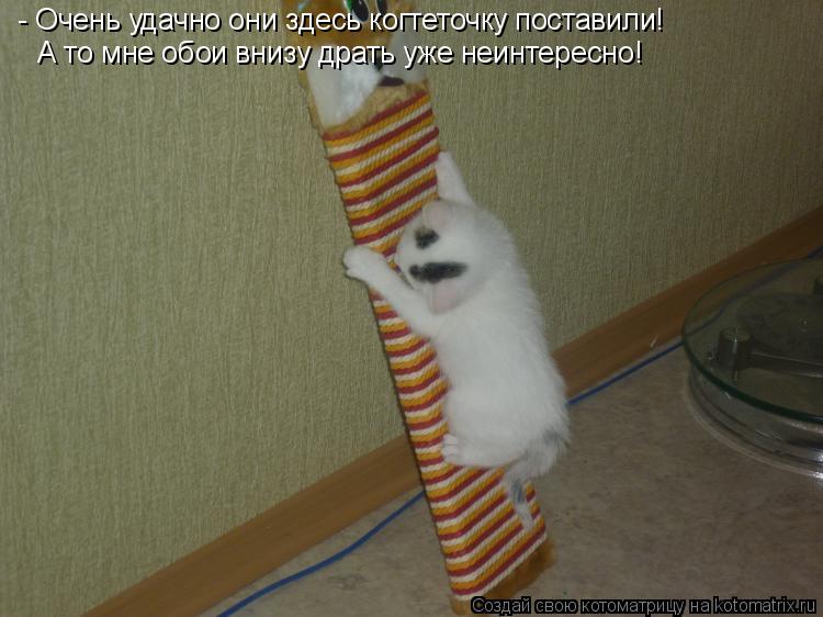 - Очень удачно они здесь когтеточку поставили! А то мне обои внизу драть уже неинтересно!... Котоматрица: - Очень удачно они здесь когтеточку поставили! А то мне обои внизу драть уже неинтересно!