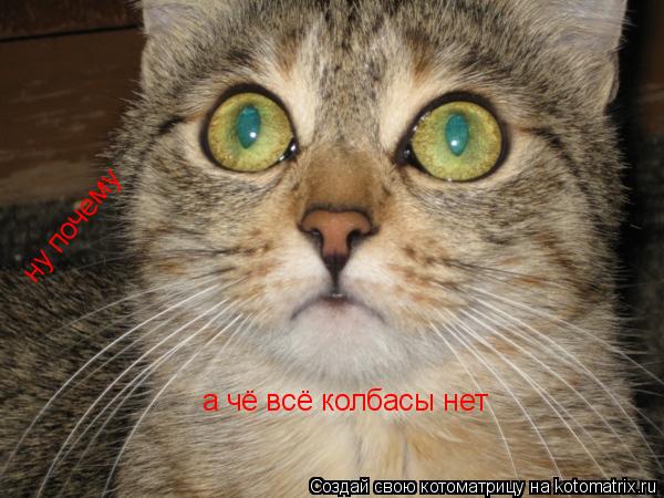 а чё всё колбасы нет ну почему... Котоматрица: а чё всё колбасы нет ну почему