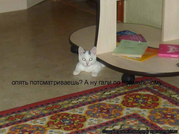 опять потсматриваешь? А ну гали по нормальному... Котоматрица: опять потсматриваешь? А ну гали по нормальному
