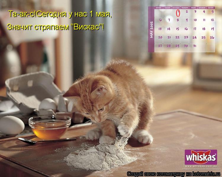 Та-ак-с!Сегодня у нас 1 мая, Значит стряпаем "Вискас"! ()... Котоматрица: Та-ак-с!Сегодня у нас 1 мая, Значит стряпаем "Вискас"! ()