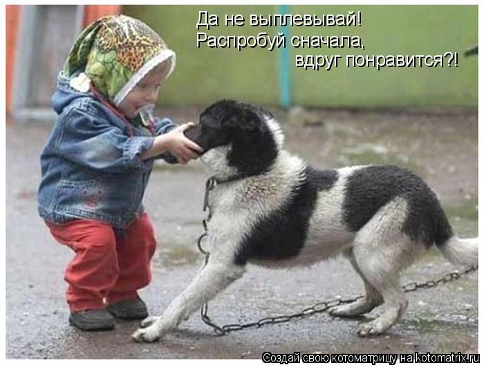 Да не выплевывай! Распробуй сначала, вдруг понравится?!... Котоматрица: Да не выплевывай! Распробуй сначала, вдруг понравится?!
