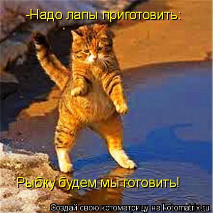 -Надо лапы приготовить: Рыбку будем мы готовить!... Котоматрица: -Надо лапы приготовить: Рыбку будем мы готовить!