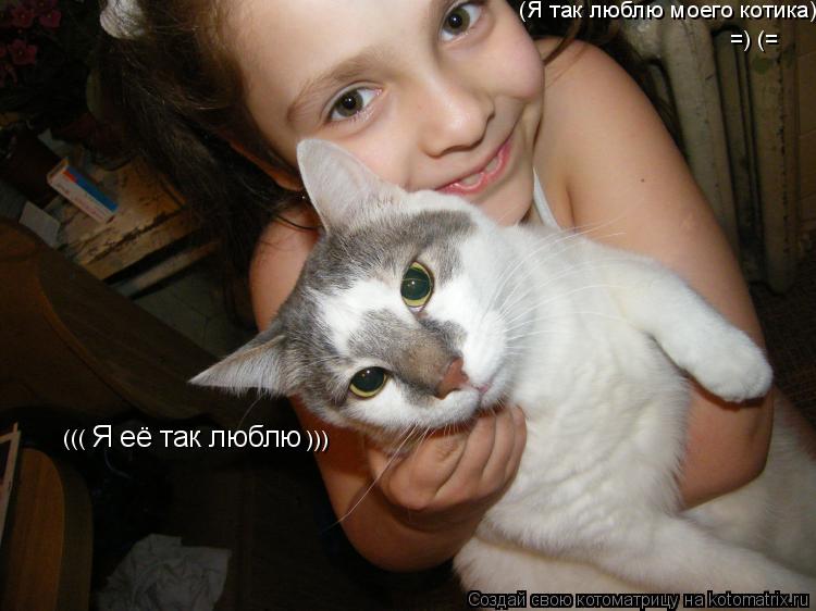 Я её так люблю (Я так люблю моего котика) ((( ))) =) (=... Котоматрица: Я её так люблю (Я так люблю моего котика) ((( ))) =) (=