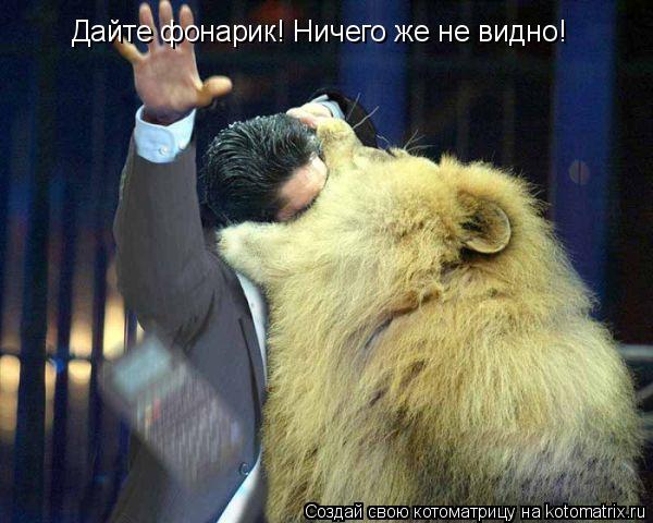 Дайте фонарик! Ничего же не видно!... Котоматрица: Дайте фонарик! Ничего же не видно!