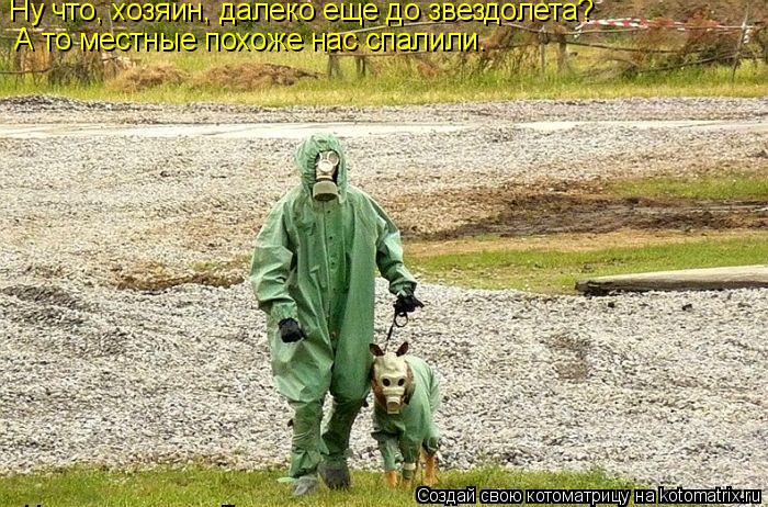 Ну что, хозяин, далеко еще до звездолета? А то местные похоже нас спалили.... Котоматрица: Ну что, хозяин, далеко еще до звездолета? А то местные похоже нас спалили.