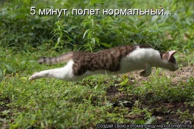 5 минут, полет нормальный...... Котоматрица: 5 минут, полет нормальный...