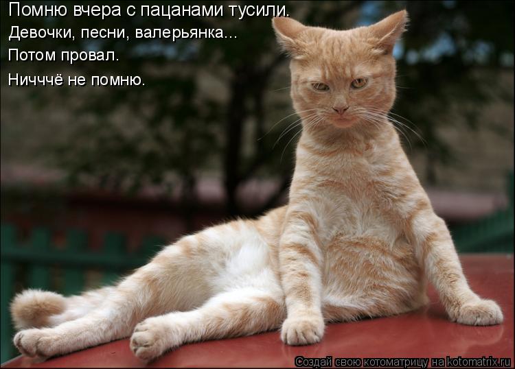Помню вчера с пацанами тусили. Девочки, песни, валерьянка... Потом провал. Ничччё не помню.... Котоматрица: Помню вчера с пацанами тусили. Девочки, песни, валерьянка... Потом провал. Ничччё не помню.