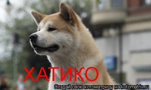 ХАТИКО... Котоматрица: ХАТИКО