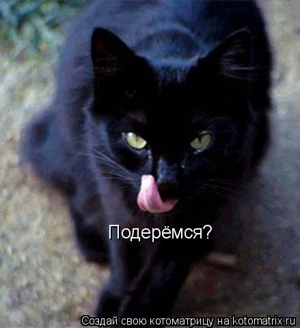Подерёмся?... Котоматрица: Подерёмся?